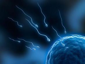 来看看你家男人还剩多少活着的“小蝌蚪”?