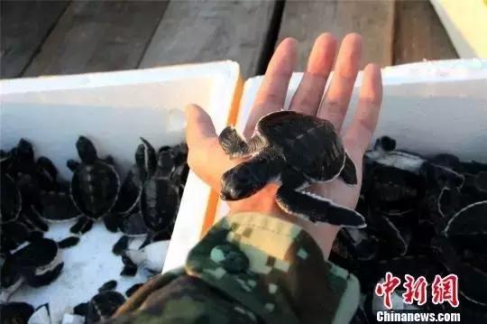 广西新华书店集团原书记被控受贿1189万