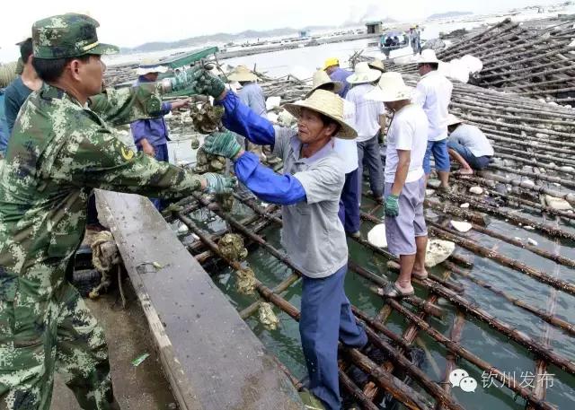 钦州市党代会报告,钦州市召开第六次党代会