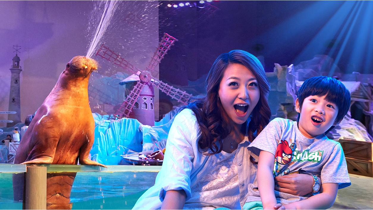 游大连圣亚海洋世界,大连圣亚海洋世界跟团游