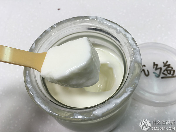 养出来的酸奶,比较好的酸奶发酵菌