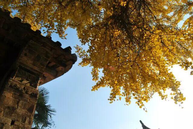 离金堂县150公里左右的景点,成都周边旅游景点大全金堂