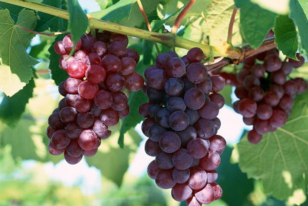 京西冬季自驾游,京西进山自驾游