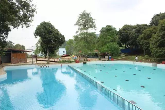 城市套路深我要回农村视频,城市套路深我要回农村dj