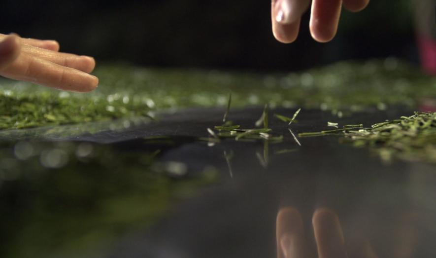 缠论炒股入门,如何用缠论详细分析一个股