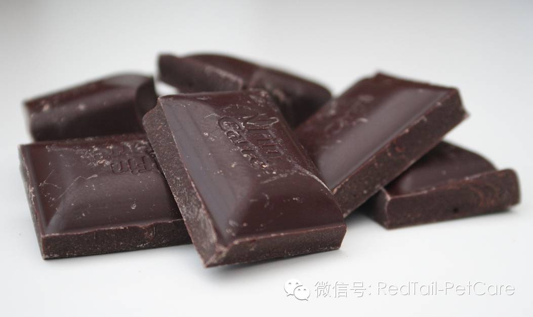 鸟类和鹦鹉的十大危险状况