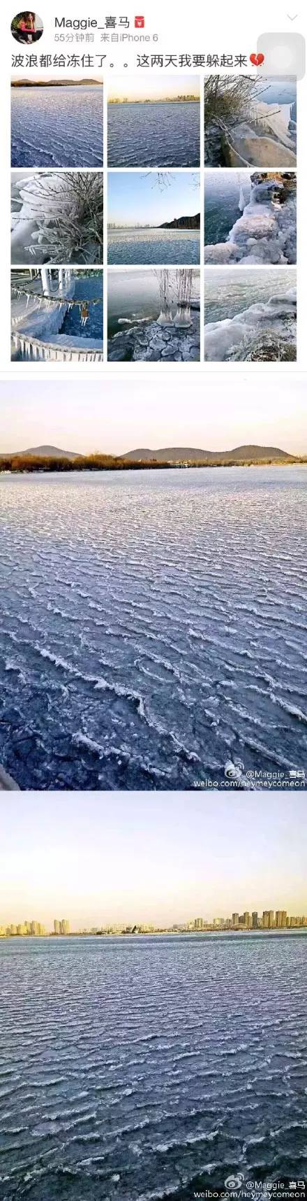 乌龟还能救过来吗,奄奄一息的小乌龟还有救吗