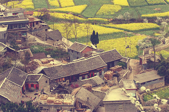 记录农村女孩出来打工的十年,记录创业女人的真实生活