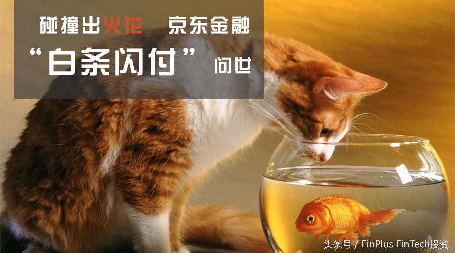 白条闪付怎么用京东金融,京东金融能开通白条闪付吗