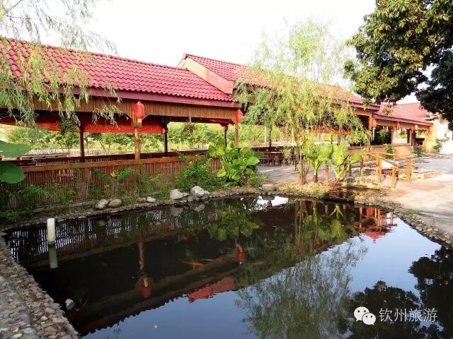 钦州周末出游攻略,钦州乡村旅游攻略