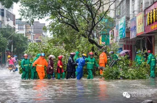 钦州市党代会报告,钦州市召开第六次党代会