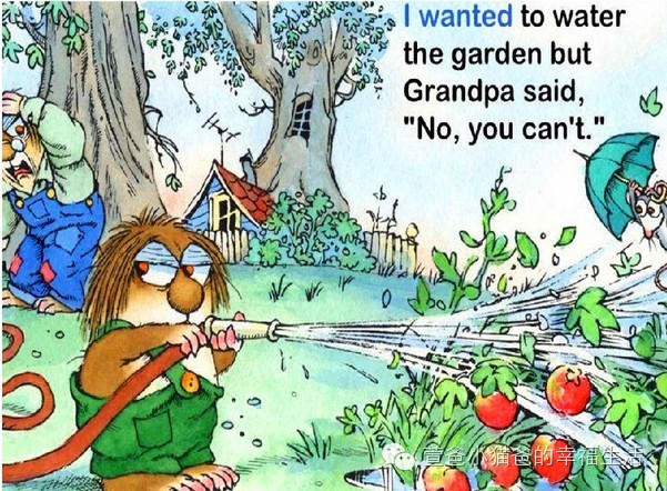 宝宝不爱读书读绘本,宝宝不愿意读绘本