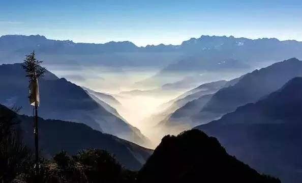 奇葩牧场|不养牛不养羊,居然养这个?