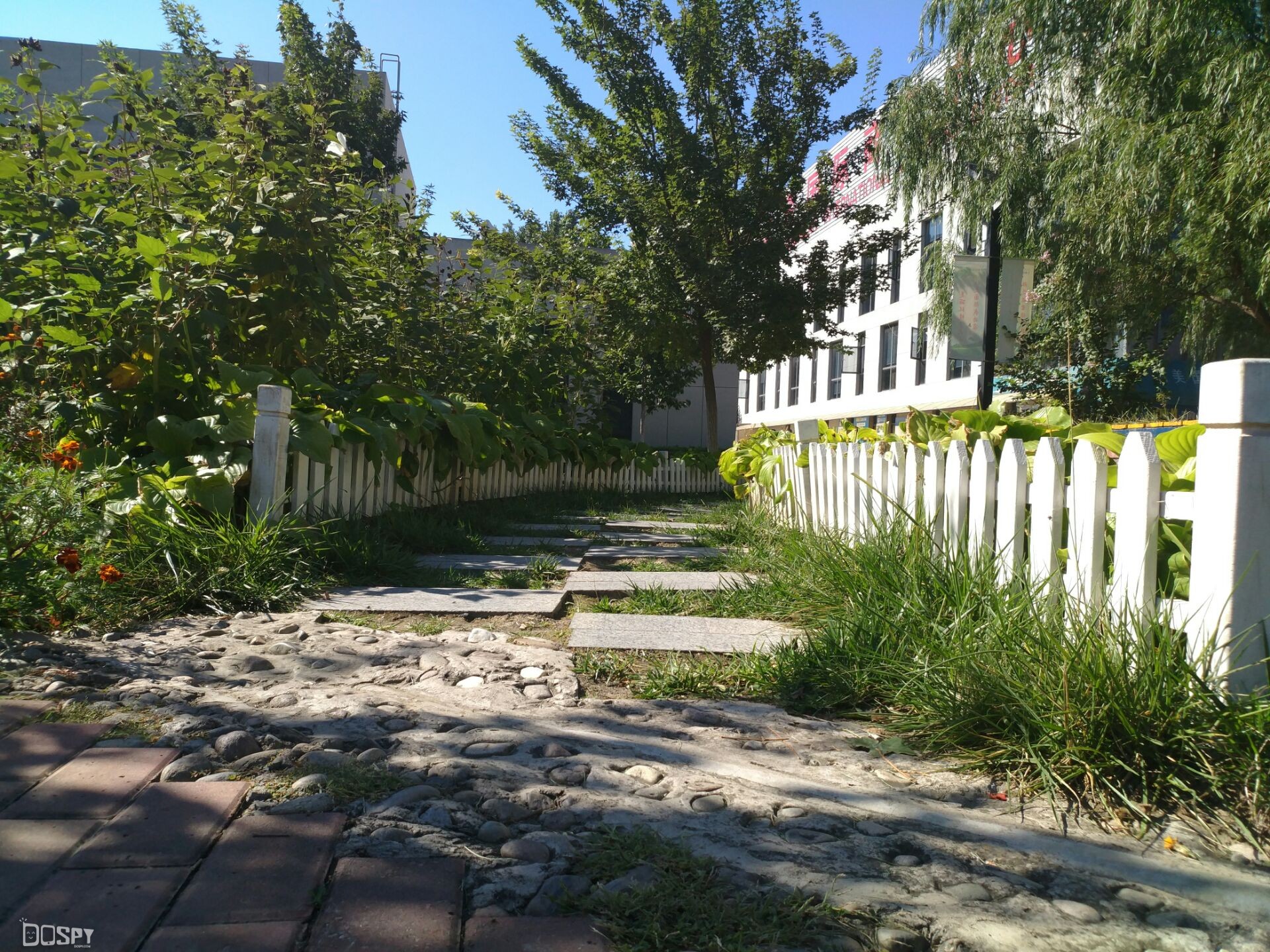 小米5splus评测玩王者,小米5splus怎么样值得买吗