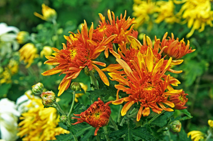 我写一首诗完美地告别九月，打开十月的那扇门