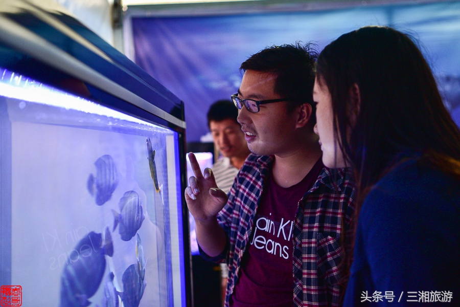 株洲漂流门票,株洲周边免门票游玩