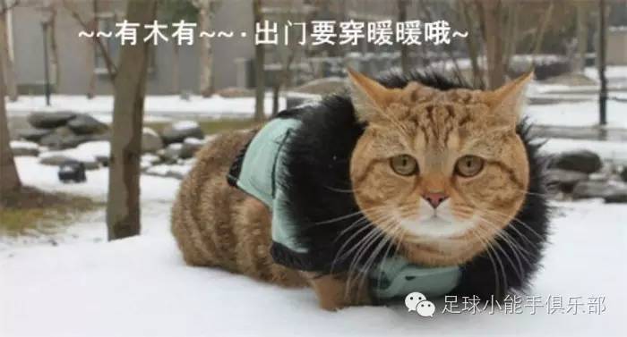 曼城巴萨欧冠分析,巴萨对多特蒙德vs曼城