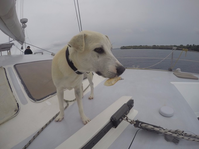 菲律宾潜水游记 (回忆菲律宾潜水的时光)