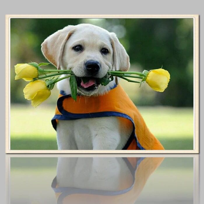 有生意头脑容易成富商的三大生肖,财运越来越红火的生肖