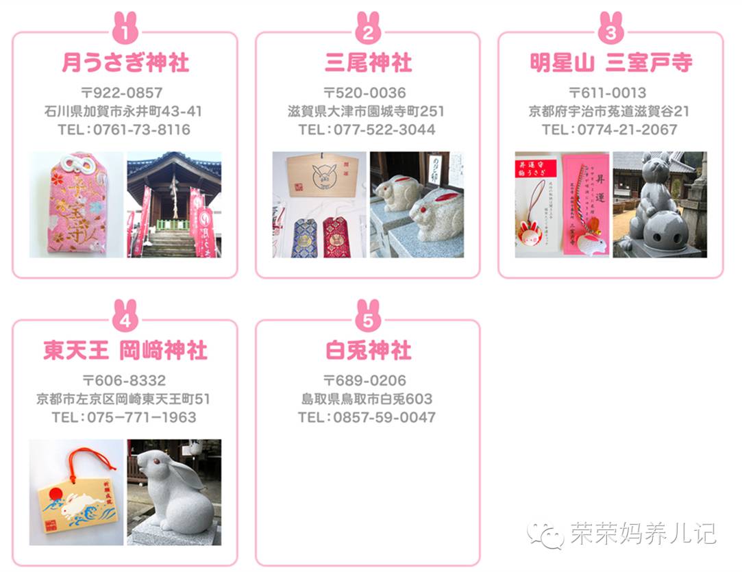 花王到底是什么,花王到底哪种是真的