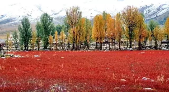 稻城从你的全世界路过片段,稻城从你的全世界路过