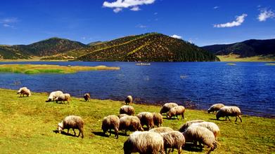 到香格里拉可以品尝到什么美味,香格里拉十大必吃美食