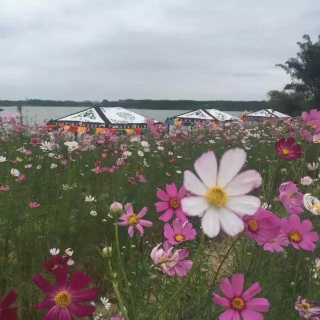 重阳节与老人互动,重阳节和老人互动