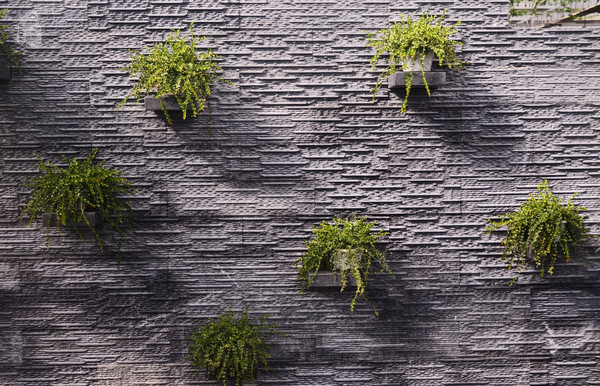 吉林市神农庄园视频,吉林神农庄园温泉度假村