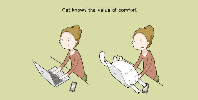 从把它带回家的那一刻起，相信你的生活就已经变了​