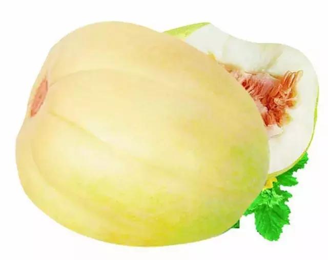 word哥经典剪辑,word哥wwe