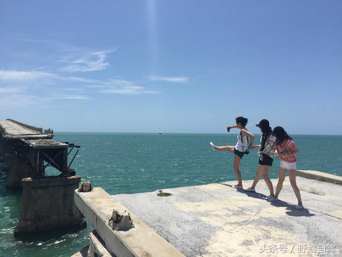 野鹅旅行,野鹅自驾无人区