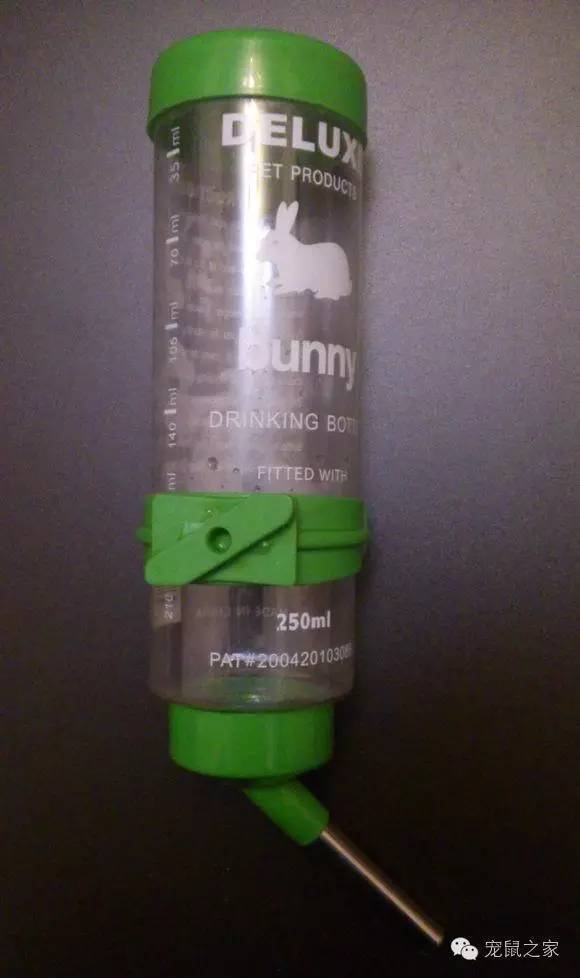 豚鼠各类饲养装备优缺点汇总之上篇