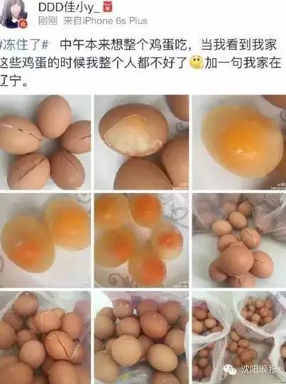 乌龟还能救过来吗,奄奄一息的小乌龟还有救吗