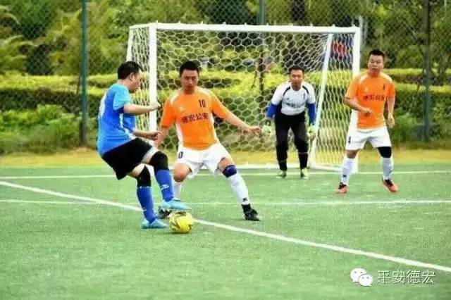 赛场上展现的精神有什么,赛场竞技彰显青春活力