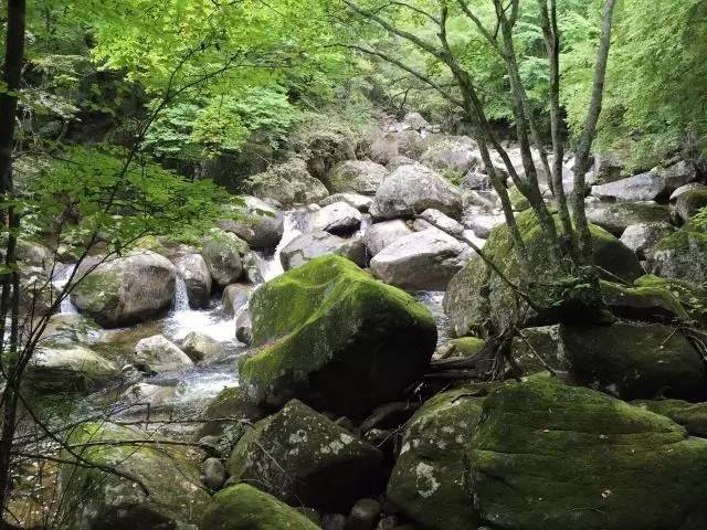 任放旅游天地云雾山——陕南的香格里拉