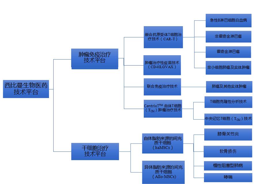 西比曼上市公司,细胞与基因治疗上市公司