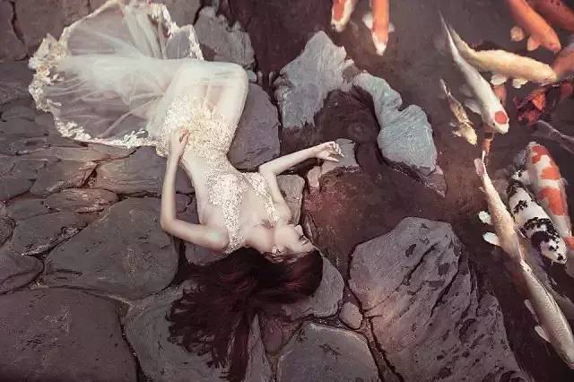 锦鲤好的饲料有哪些,关于锦鲤喂食各种疑问解答