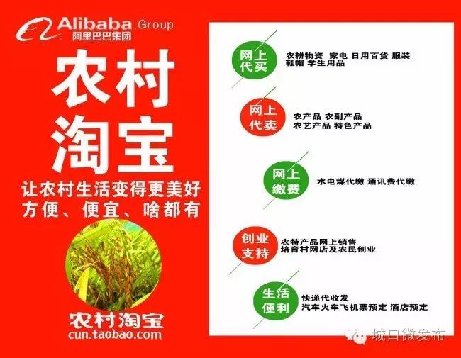 农村电商合伙人招募,农村淘宝合伙人招募