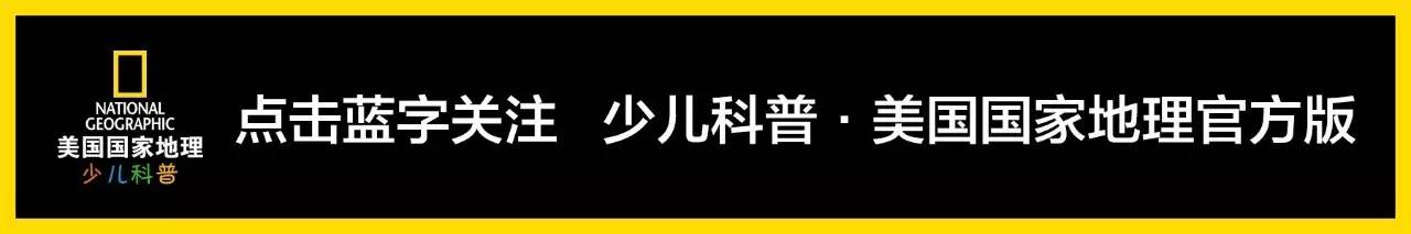 出差旅行打包攻略,旅行行李打包七日游