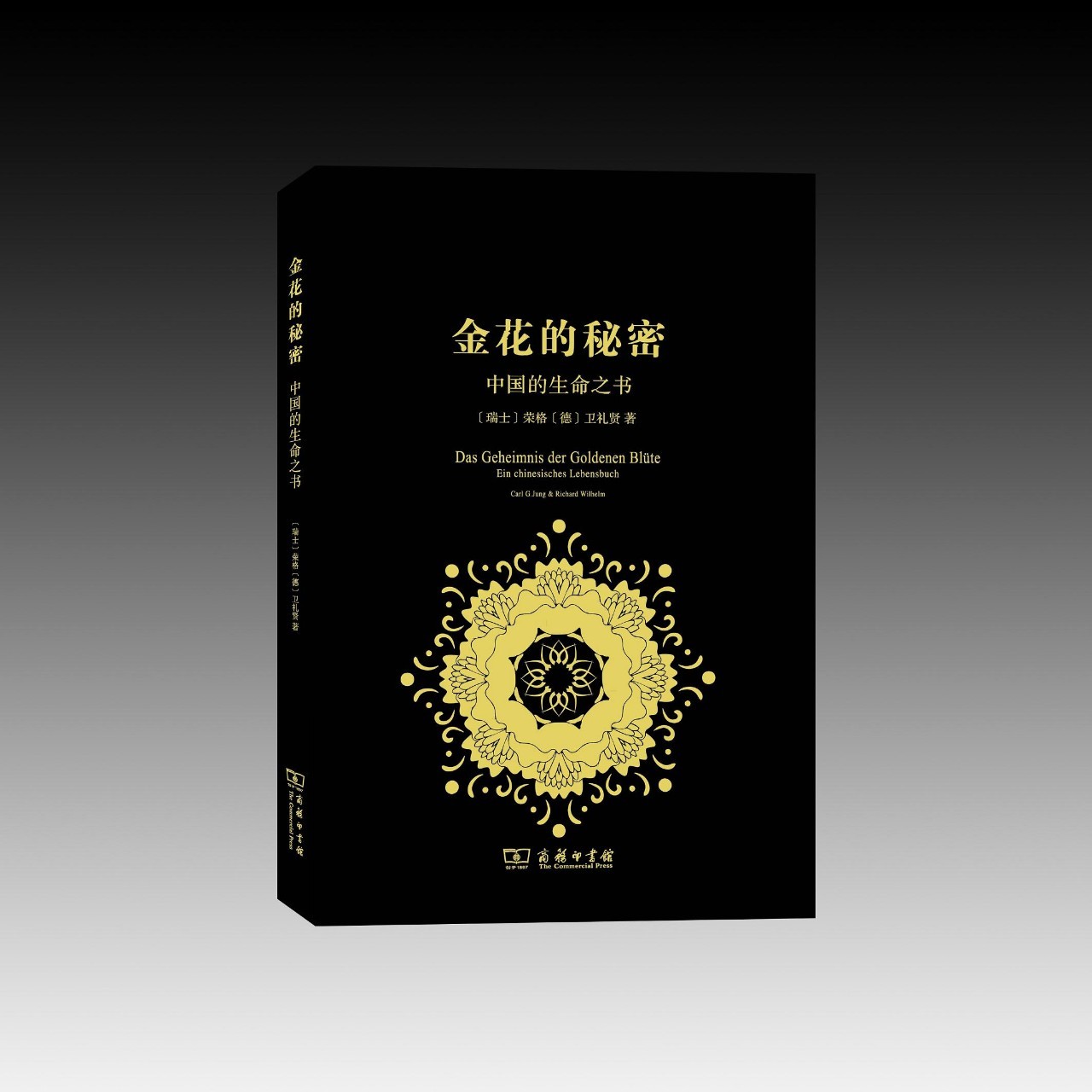 后天物理主义与解释鸿沟（上）