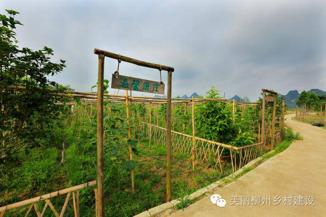 广西国庆柳州旅游攻略,柳州百里柳江哪里的风景最好