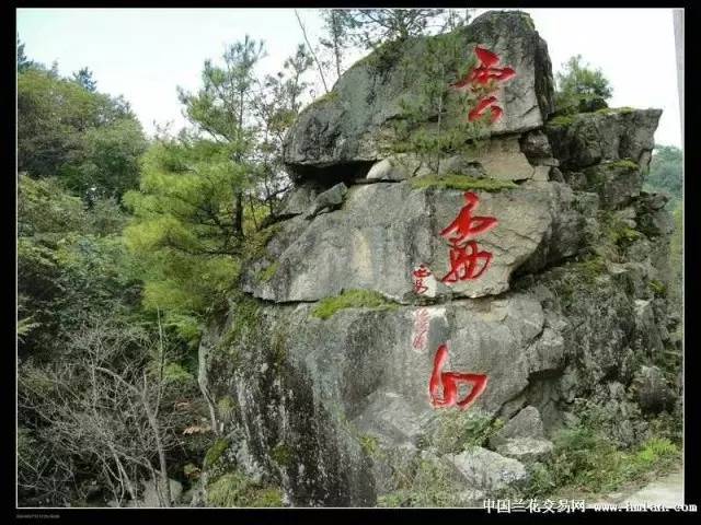 任放旅游天地云雾山——陕南的香格里拉