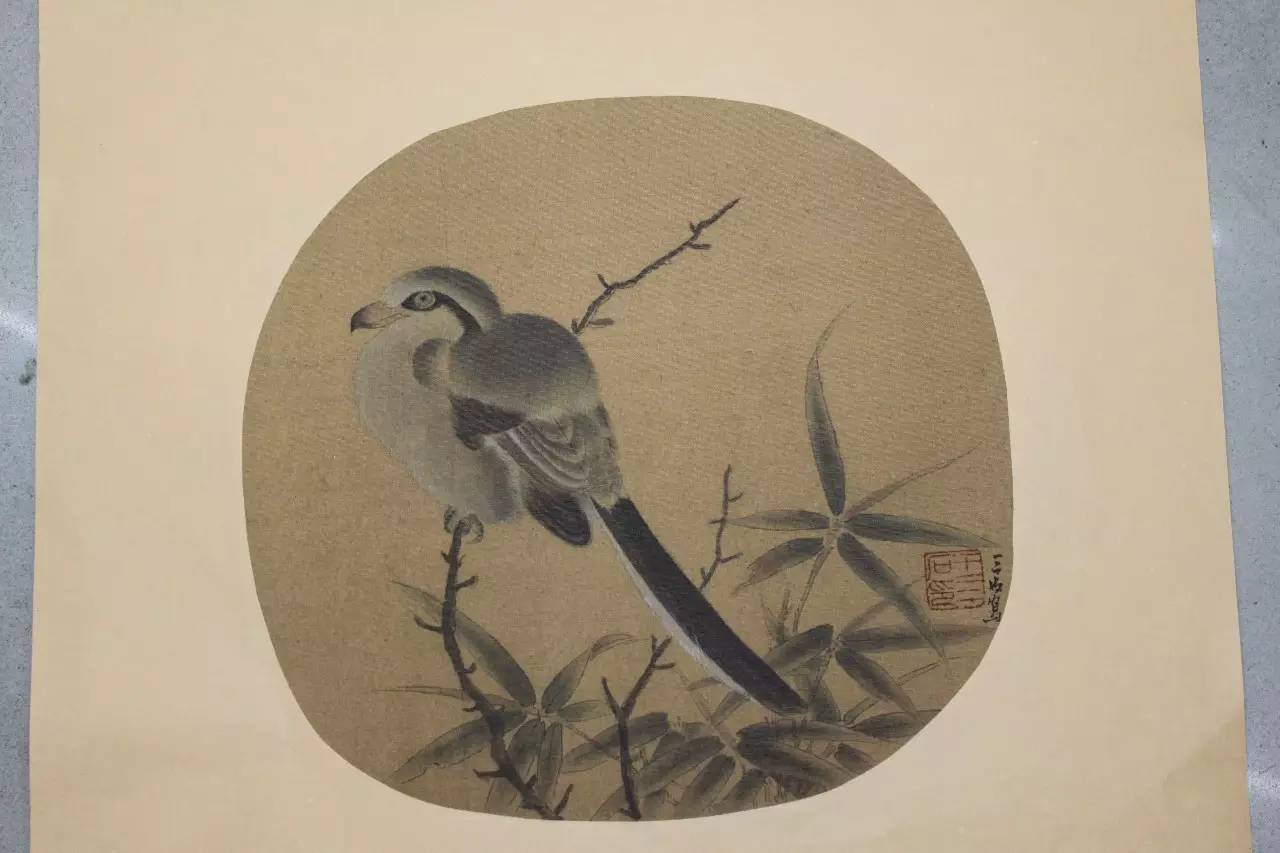 张军花鸟画作品欣赏,李松国画花鸟艺术作品