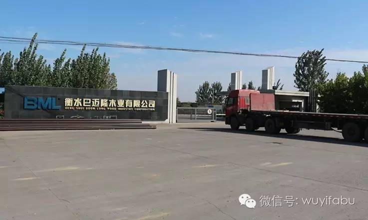 建设现代农业园区铺就全面小康坦途——武邑县建设现代农业示范园区打造现代农业发展高地