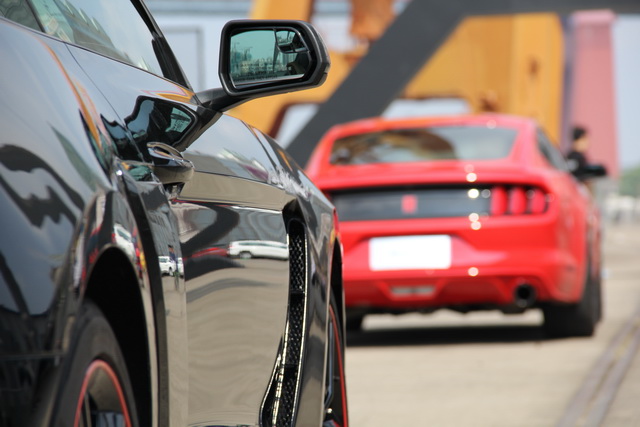 敢想敢ZaoMustang车主派对