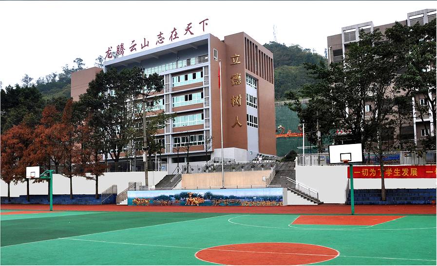 走进最美校园澄江小学：魅力乡村教育托起小龙娃灿烂的明天