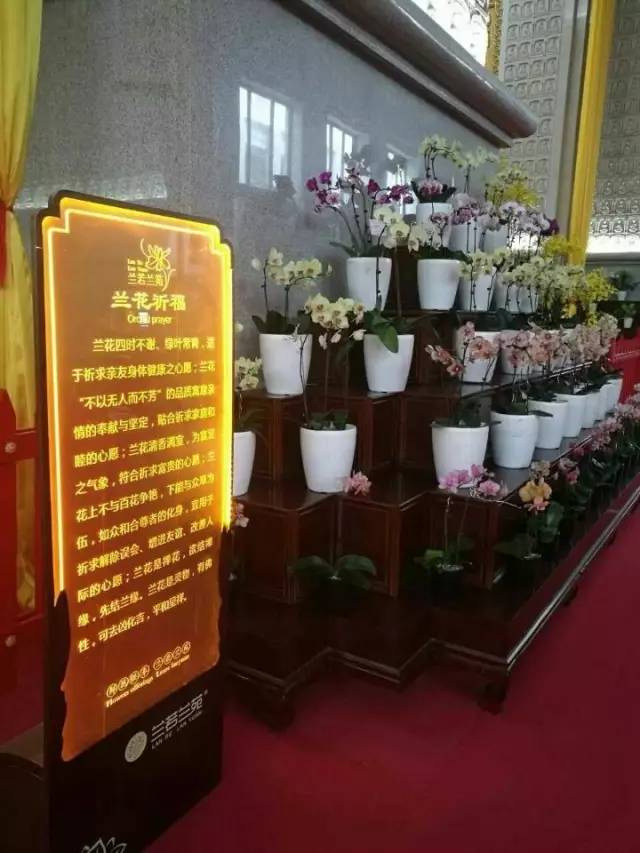 金秋国庆假期旅游,国庆假期宝鸡游玩攻略