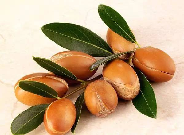 鍗佸ぇ鍦熻豹姘存灉,鍦熻豹鍚冨緱璧风殑鍥涚椤剁骇姘存灉