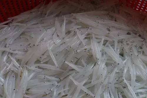 广西榜样,广西优秀的学习榜样