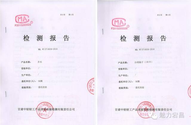 电商扶贫电商村打造,农村电商陇南成县资源整合